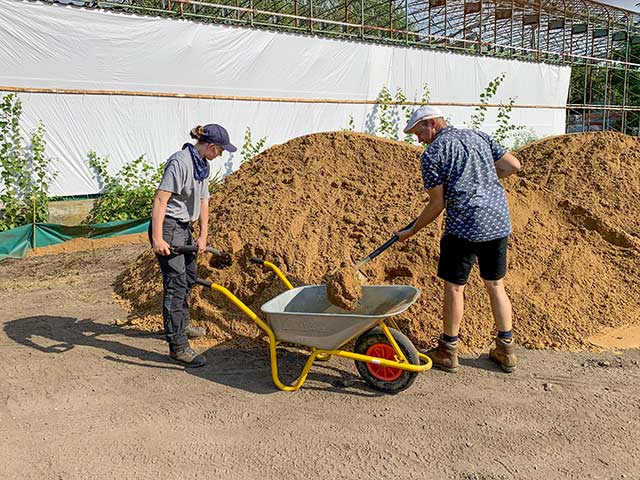 Bau von Zauneidechsenhaufen