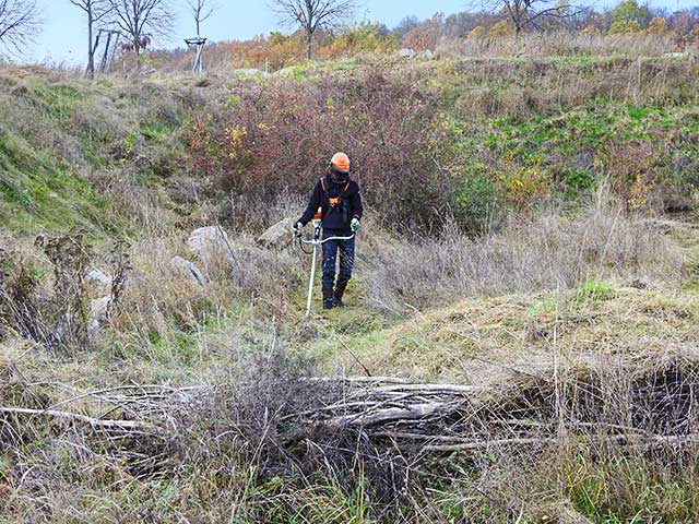 Landschaftspflege mit dem Freischneider