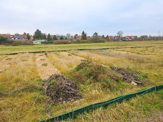 Naturschutzmaßnahmen/ Pflegen