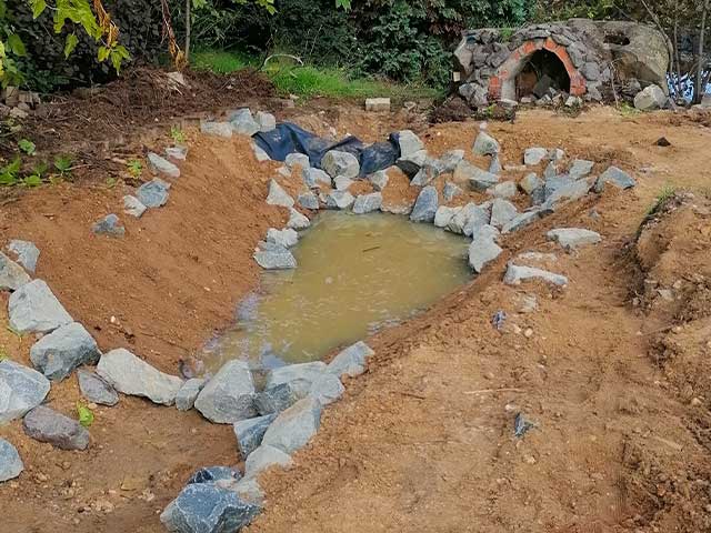 Teich für Amphibien bauen