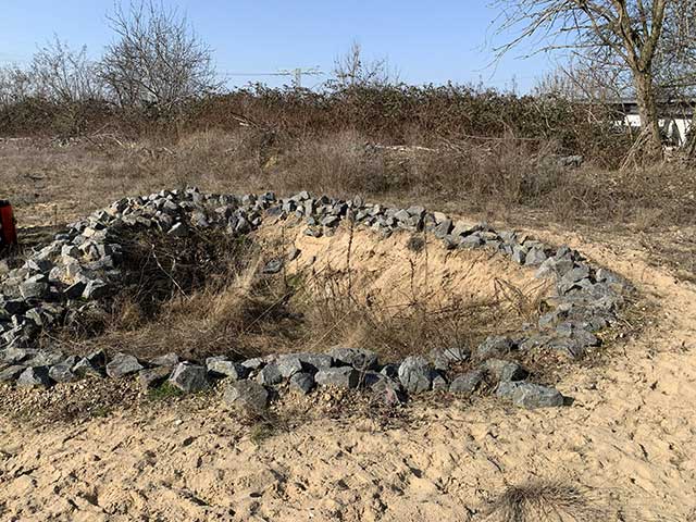 Zauneidechsen-Haufwerk